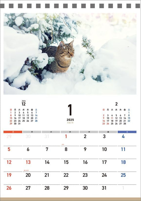 Hagoromo Charity Calendar Relaxing Cat 2025 Desk Calendar CL25-0687