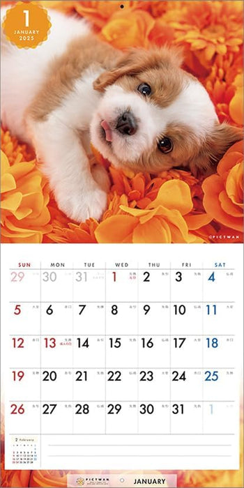 PICTWAN 2025 Calendar Cavalier - King Charles Spaniel - Small