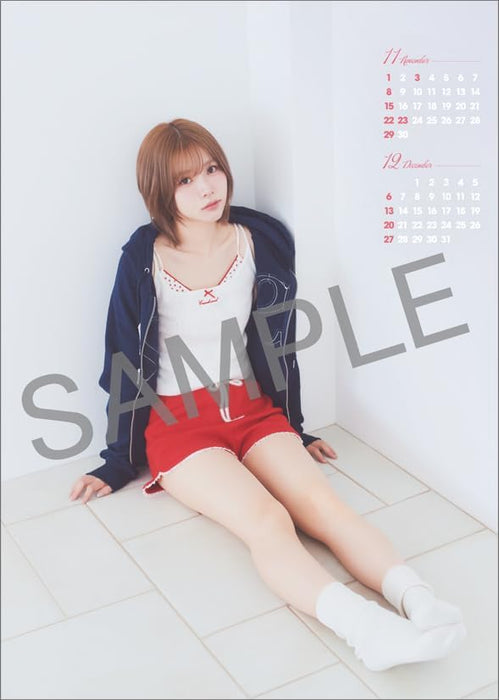 Hagoromo Liyuu 2026 Wall Calendar CL26-0234