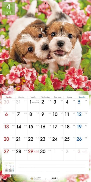 PICTWAN 2025 Calendar L Edition Jack Russell Terrier CL25-1215