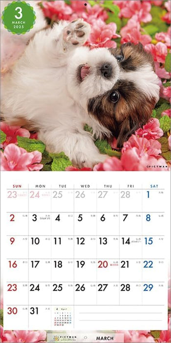 PICTWAN 2025 Calendar Shih Tzu