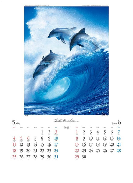 Todan 2025 Wall Calendar Christian Riese Lassen CL25-1092