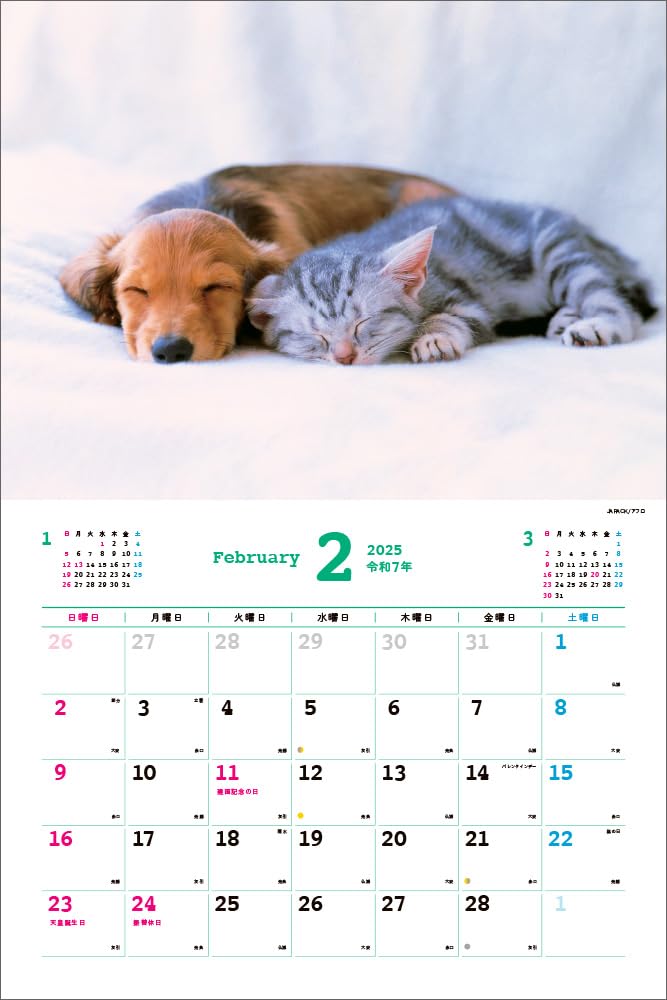 2025 Best Friends: Dogs and Cats Calendar