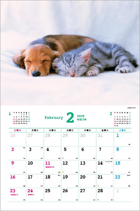 2025 Best Friends: Dogs and Cats Calendar