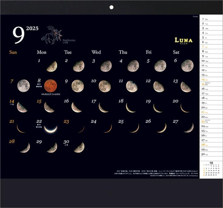 Todan 2025 Wall Calendar Luna CL25-1021