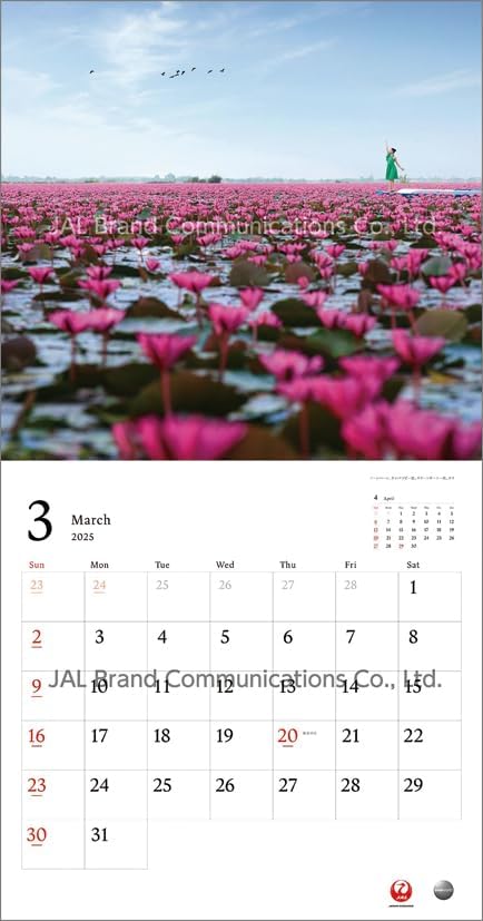 JAL 'A WORLD OF BEAUTY' (Normal Size) 2025 Wall Calendar CL25-1132