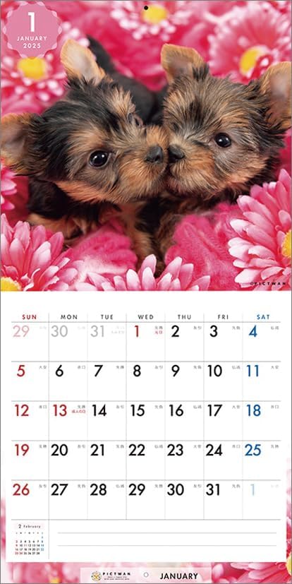 PICTWAN 2025 Calendar S Edition Yorkshire Terrier CL25-1245