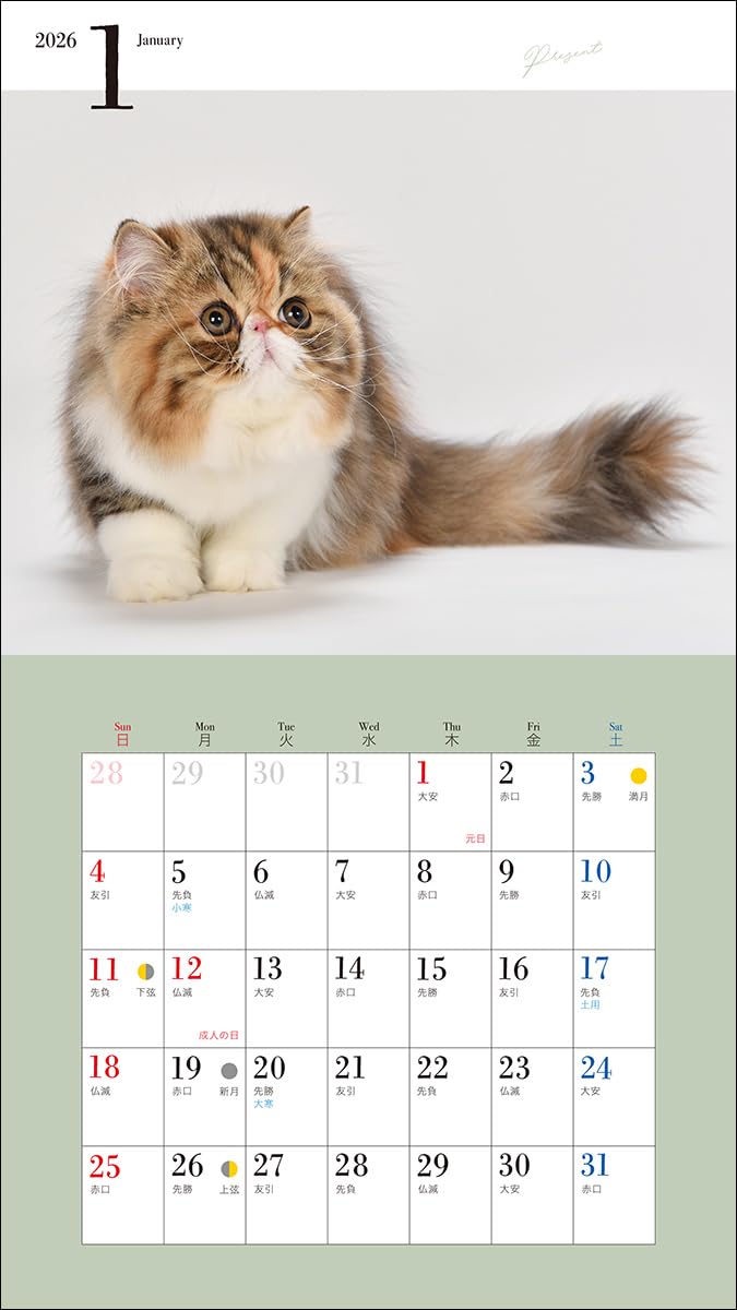 2026 Adorable Kittens Calendar (Seibundo-shinkosha Calendar)
