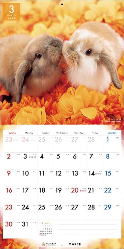 PICTWAN 2025 Calendar Rabbit