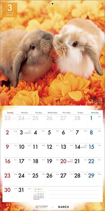 PICTWAN 2025 Calendar Rabbit