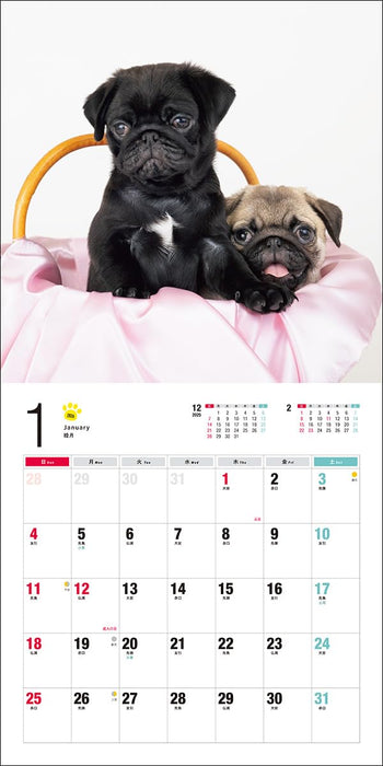 2026 Calendar Pug