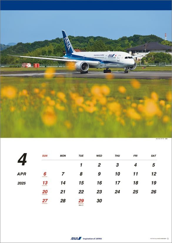 ANA '787' 2025 Wall Calendar CL25-1158