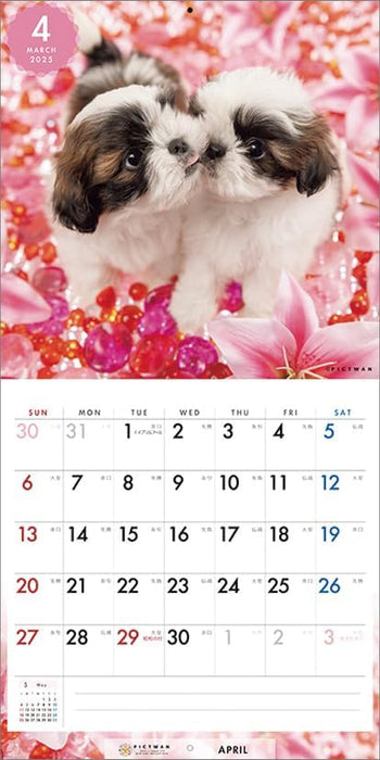 PICTWAN 2025 Calendar Shih Tzu