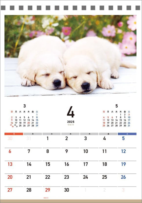 Hagoromo Charity Calendar Good Night Dog 2025 Desk Calendar CL25-0689