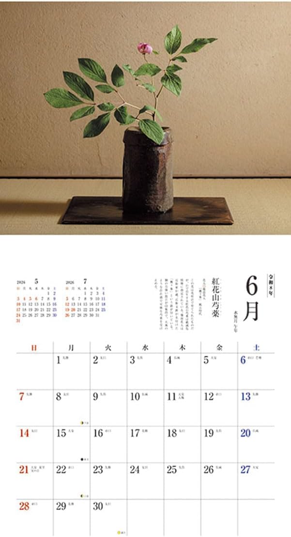 Try-X 2026 Wall Calendar Tea Flower CL-476 60x30cm