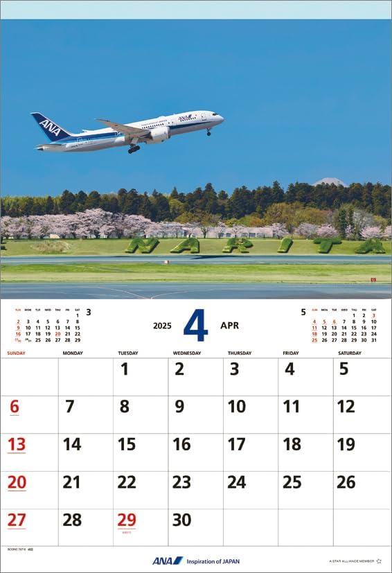 ANA 'Flight' (Includes Mini Calendar) 2025 Wall Calendar CL25-1149