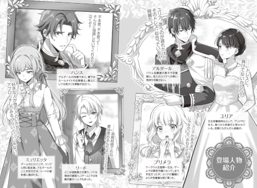Tensei Shimashite, Genzai wa Jijo de Gozaimasu. 13 (Light Novel)
