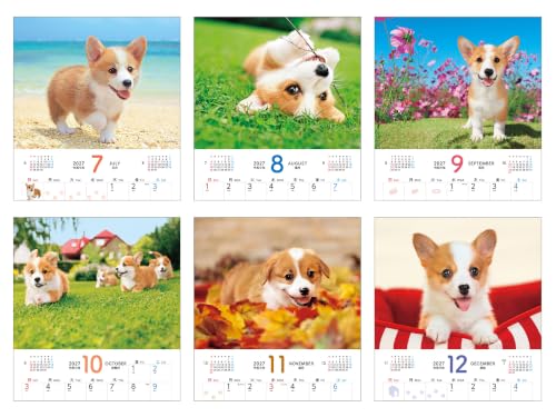 Gakken Sta:Ful 2027 Calendar Keiko Sena Megane Usagi Desk Calendar M10506