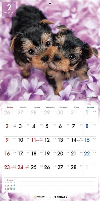 PICTWAN 2025 Calendar L Edition Yorkshire Terrier CL25-1230