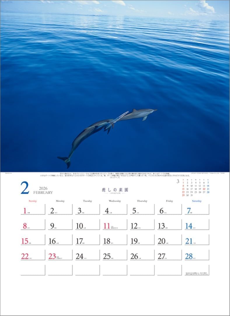 Todan 2026 Wall Calendar Healing Paradise - Kazuyoshi Miyoshi Works Collection TD-30653 CL26-1026