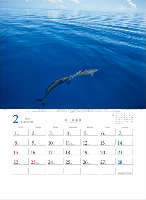 Todan 2026 Wall Calendar Healing Paradise - Kazuyoshi Miyoshi Works Collection TD-30653 CL26-1026