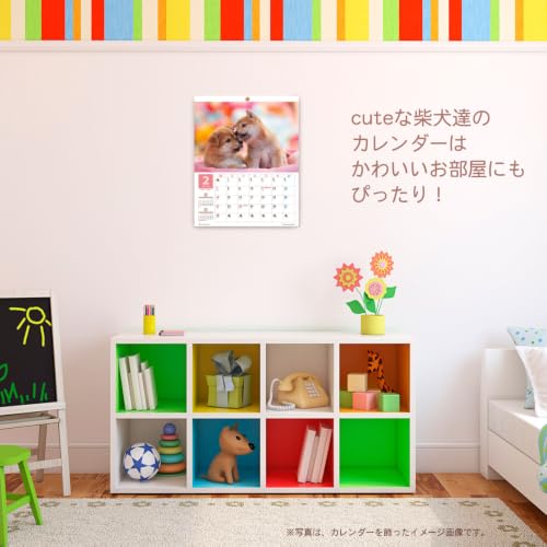 Active Corporation 2027 Wall Calendar Yoneo Morita Marugoto Shibainu 27ACL-11