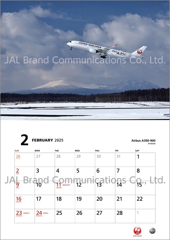 JAL 'FLEET' (Normal Size) 2025 Wall Calendar CL25-1135