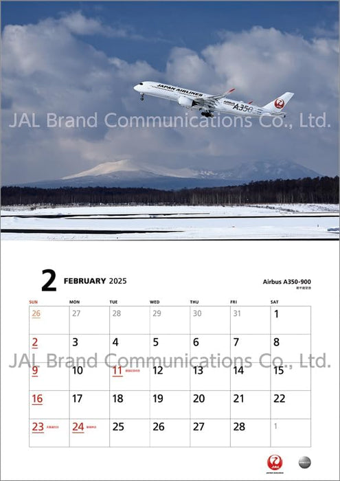 JAL 'FLEET' (Normal Size) 2025 Wall Calendar CL25-1135