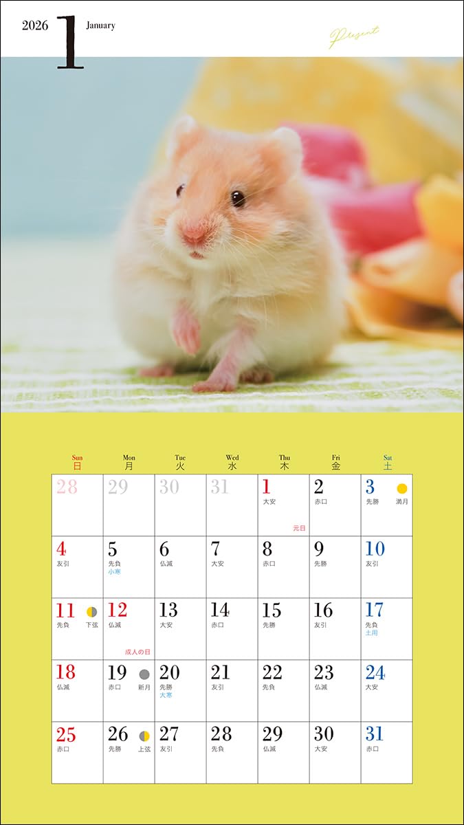 2026 Adorable Golden Hamster (Seibundo-shinkosha Calendar)