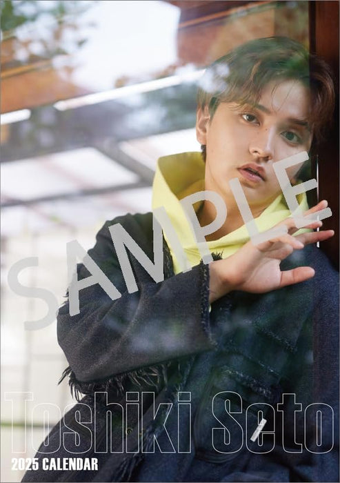 Hagoromo Toshiki Seto 2025 Desk Calendar CL25-0317