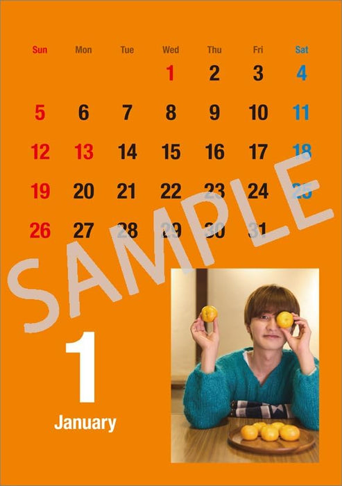 Hagoromo Toshiki Seto 2025 Desk Calendar CL25-0317