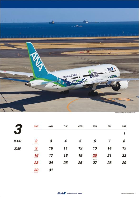 ANA '787' 2025 Wall Calendar CL25-1158