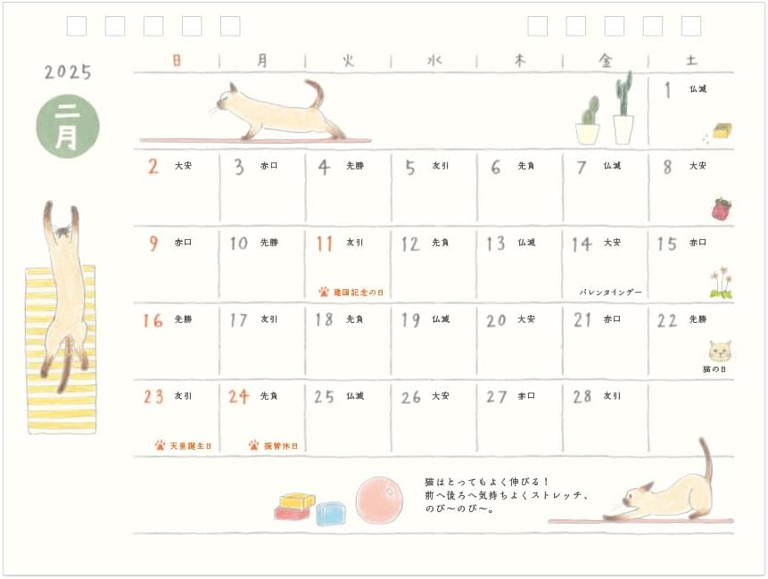 Midori 2025 Desk Calendar M Cat Pattern 31314006