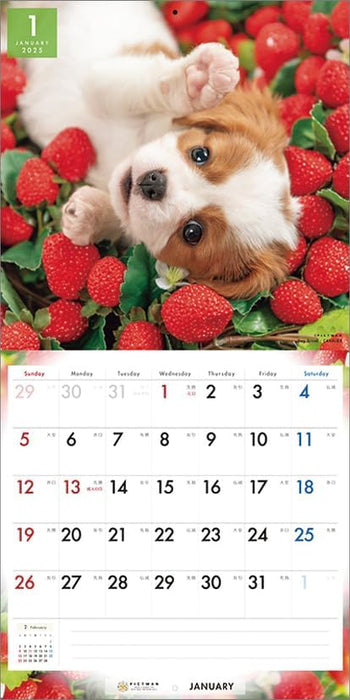 PICTWAN 2025 Calendar Cavalier - King Charles Spaniel