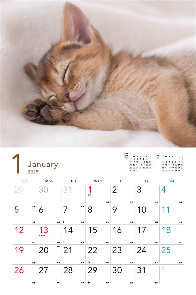 2025 Sleepy Kittens Calendar