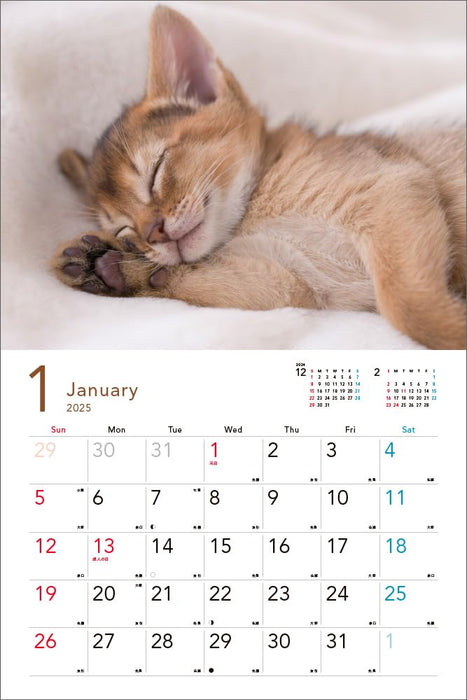 2025 Sleepy Kittens Calendar