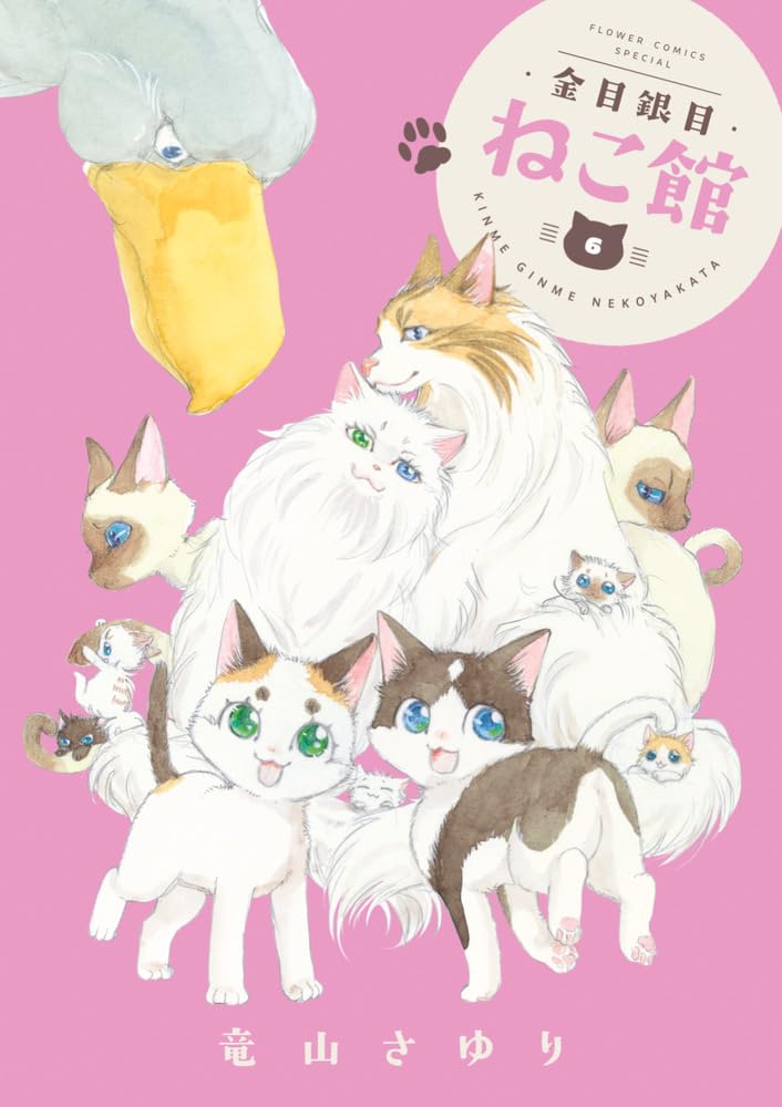 Kinme Ginme Nekoyakata 6