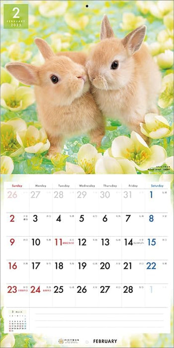 PICTWAN 2025 Calendar Rabbit