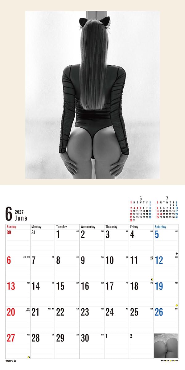 Try-X 2027 Wall Calendar Bottoms 27CL-1701 60x30cm