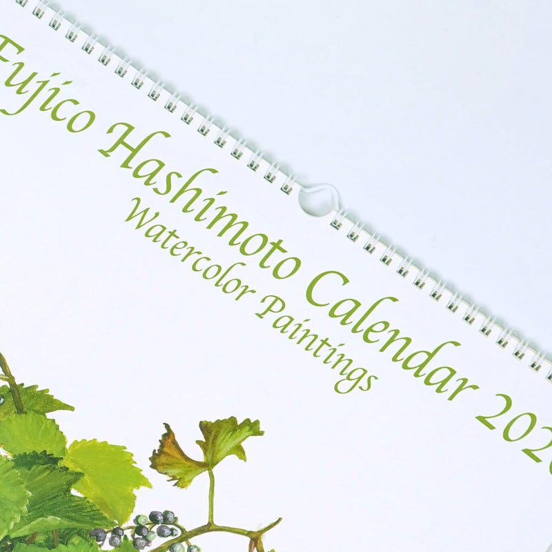 Fujico Hashimoto Wall Calendar 2026 LL CAL-197