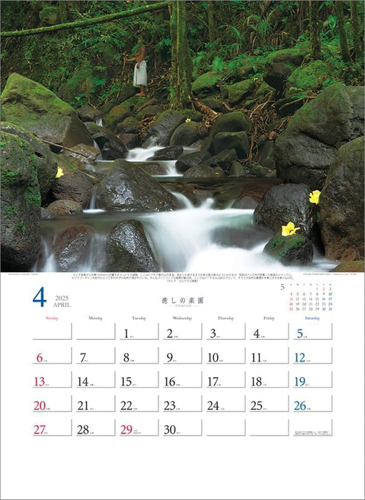 Todan 2025 Wall Calendar Healing Paradise - Kazuyoshi Miyoshi Works Collection CL25-1057