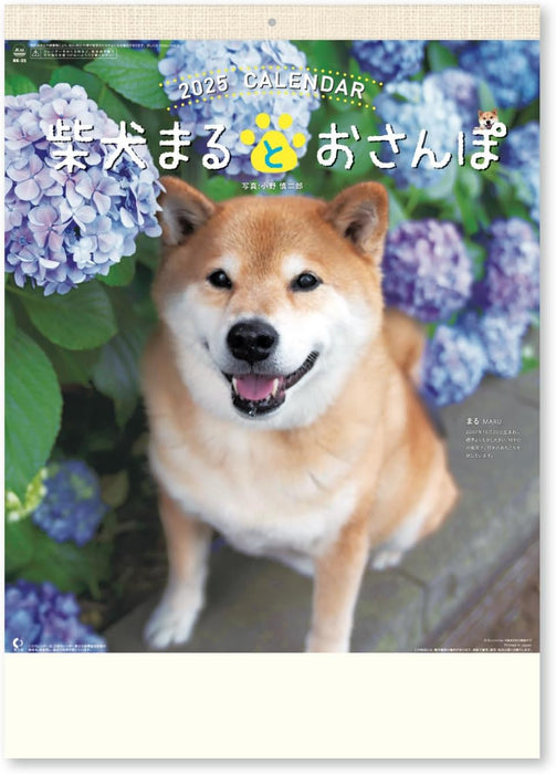 New Japan Calendar 2025 Wall Calendar Walk with Shiba Inu Maru Calendar NK35