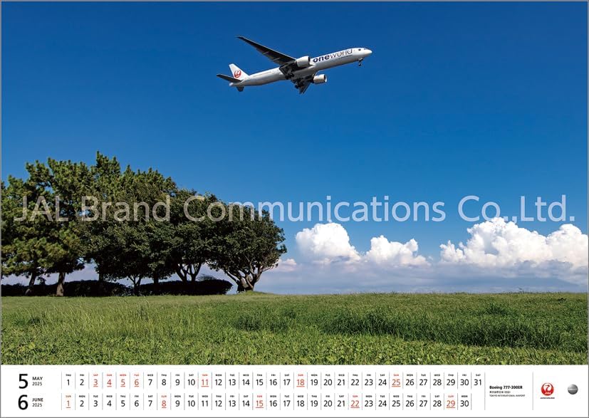 JAL 'FLEET' (Large Size) 2025 Wall Calendar CL25-1134