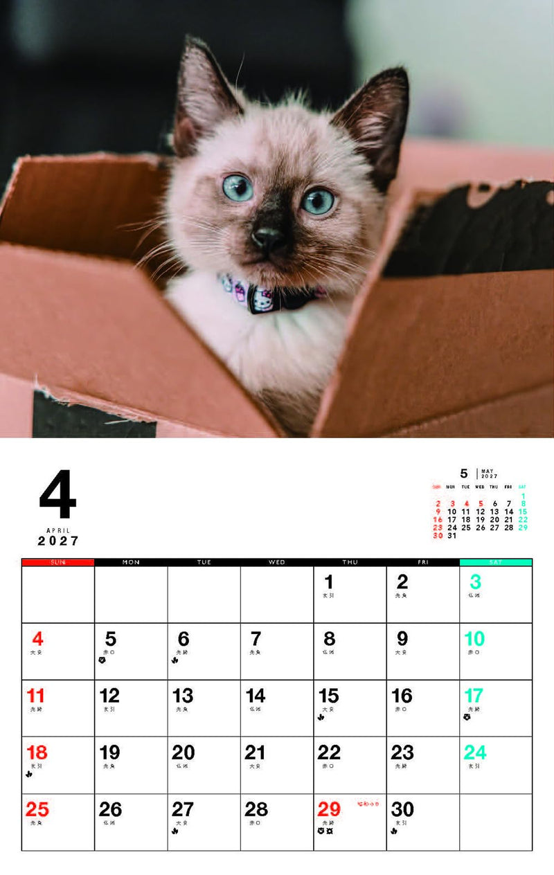 Kittens Calenddar 2027 (Monthly/Wall Calendar)