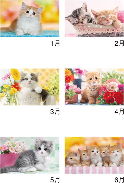 New Japan Calendar 2025 Wall Calendar Thank you! Cat NK455