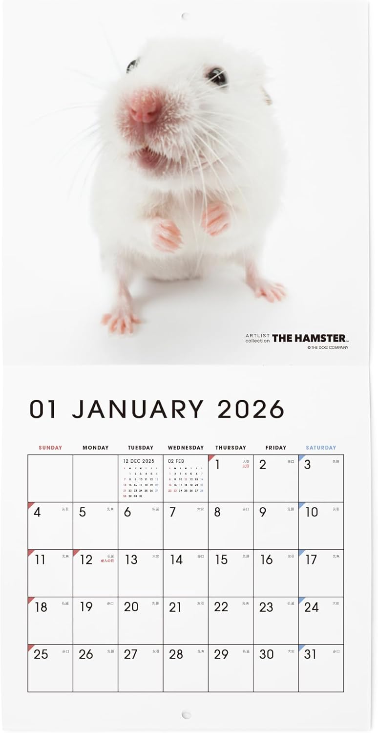 THE HAMSTER 2026 Wall Calendar Mini Size [Hamster]