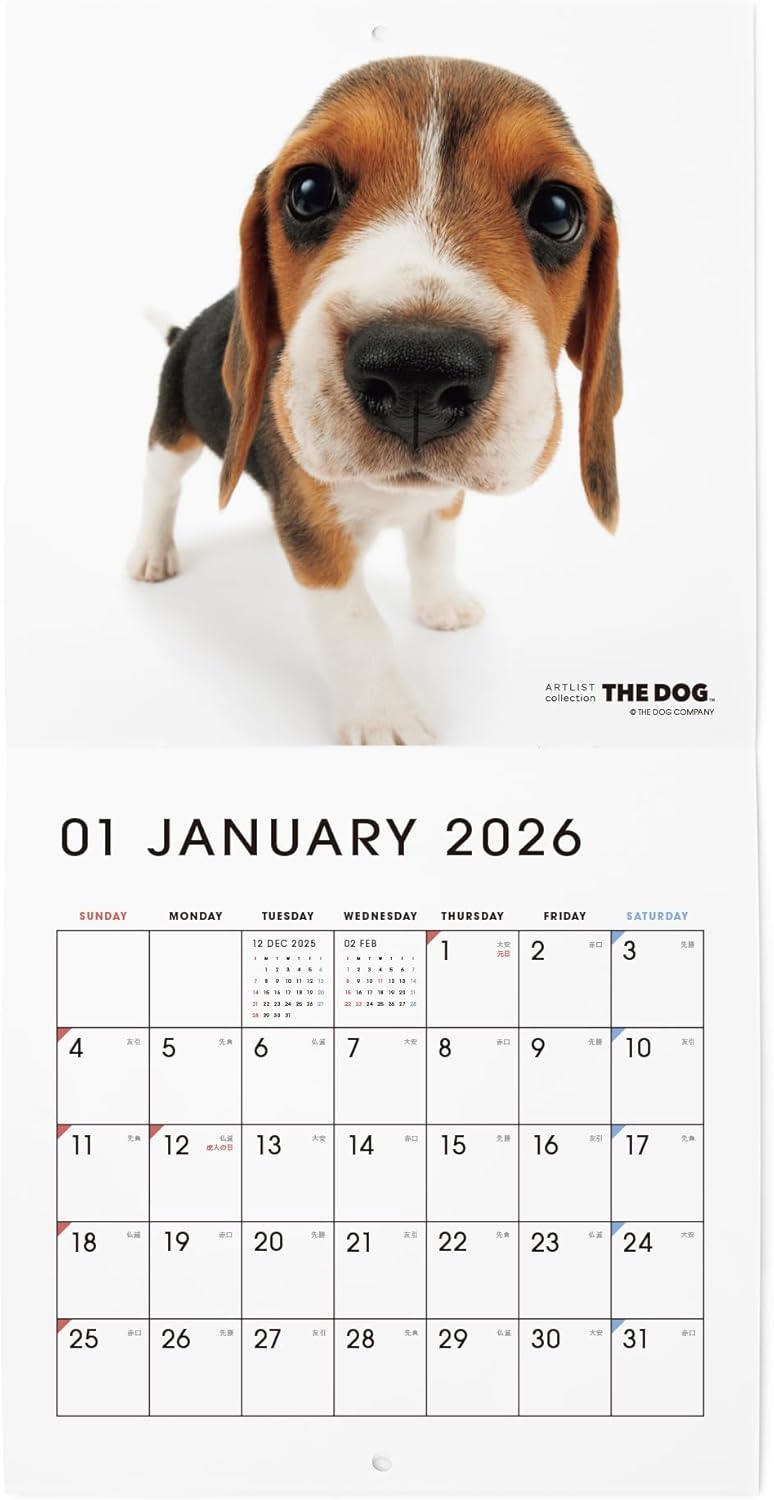 THE DOG 2026 Wall Calendar Mini Size [Beagle]