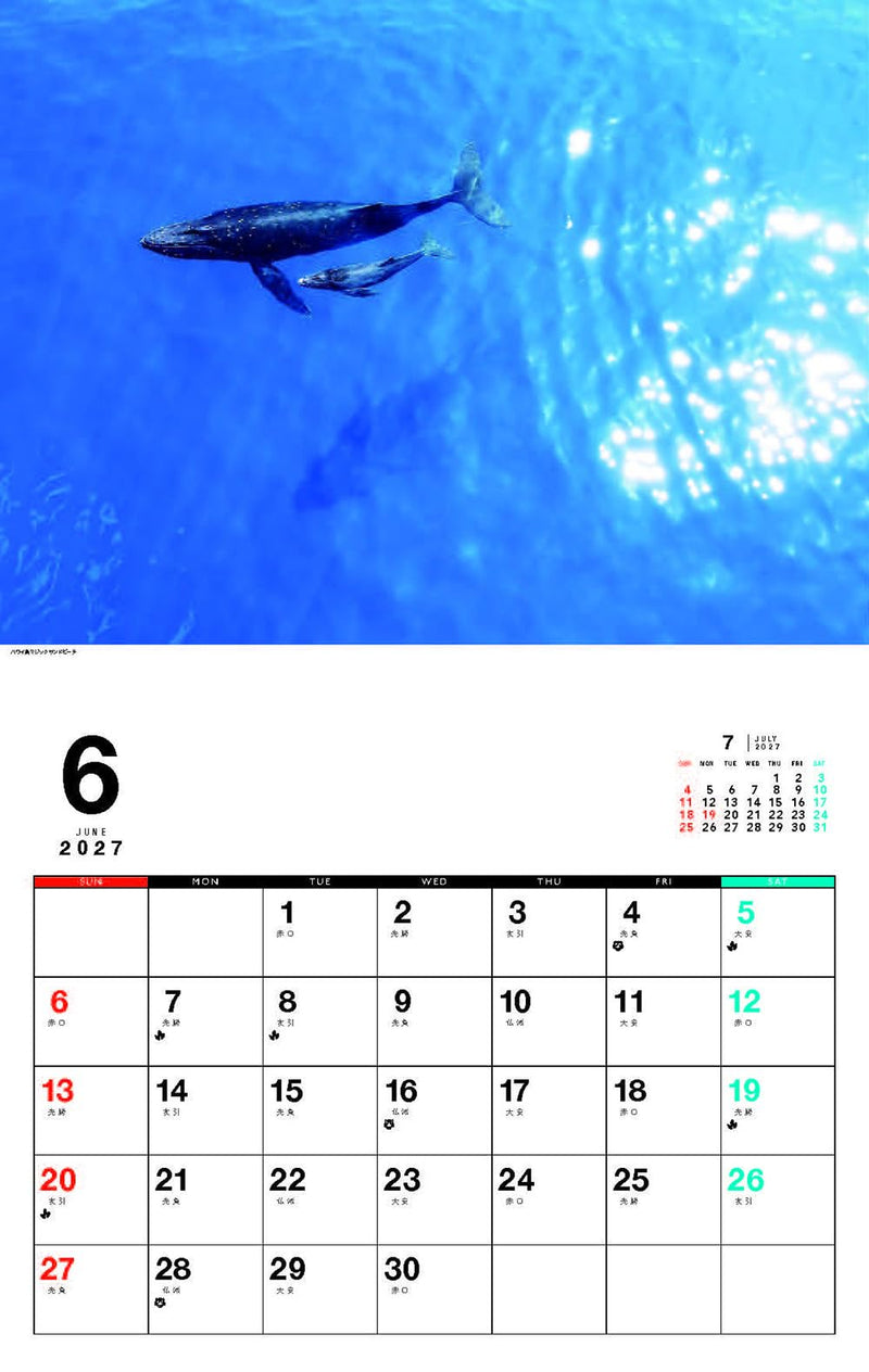 Ryujin Hawaii Calendar 2027