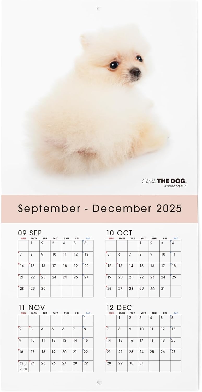 THE DOG 2026 Wall Calendar Mini Size [Pomeranian]