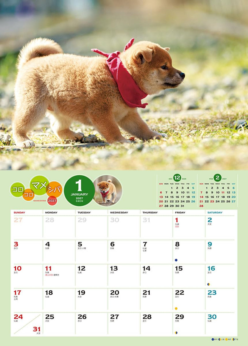 Try-X 2027 Wall Calendar Korokoro Mameshiba 27CL-381 51x36cm